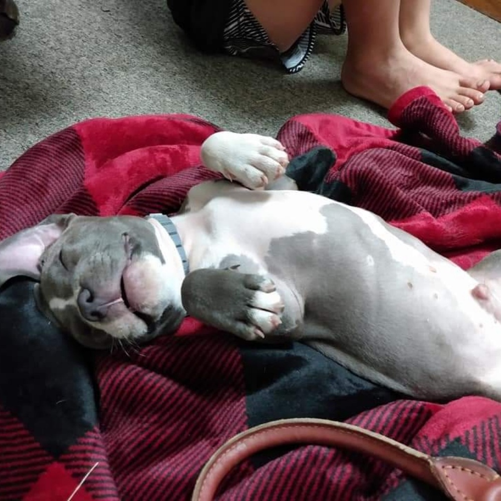 Meet your Posher, Amanda